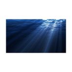 Kanki Pet KP7045007 Akvaryum Arka Fon Yapıştırma - 70x45 cm