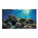 Kanki Pet KP7045021 Akvaryum Arka Fon Yapıştırma 70 x 45 CM