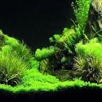 Kanki Pet KP7045035 Akvaryum Arka Fon Yapıştırma 70 x 45 CM