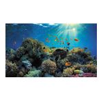 Kanki Pet KP8550021 Akvaryum Arka Fon Yapıştırma 85 x 50 CM