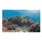 Kanki Pet KP8550023 Akvaryum Arka Fon Yapıştırma 85 x 50 CM