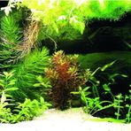 Kanki Pet KP8550036 Akvaryum Arka Fon Yapıştırma 85 x 50 CM