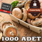 Kanlıca Mantar Tohumu +1000 Tohum