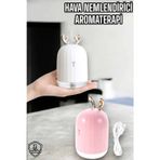 Kanonik Education Temiz Hava Nemlendirici Tavşanlı Aromaterapi