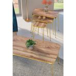 Kanonik Education Zigon Sehpa Kr Ve Orta Sehpa Kr Set Gold Ceviz Tel 1108