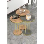 Kanonik Education Zigon Sehpa Terra Gold Ceviz Antrasit TRR01