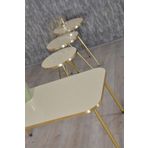 Kanonik Education Zigon Sehpa ve Orta Sehpa Kr Gold Metal Ayak Gold Krem Set