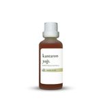 Kantaron Yağı 50 ml - Cilt Yenileyici ve Onarıcı Doğal Yağ