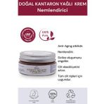 Kantaron Yağlı Yoğun Bakım Kremi 40 ml. %100 Doğal