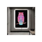 Kanvas Siyah Arka Planli Renkli Baykuş Ledli Tablo 50 X 70