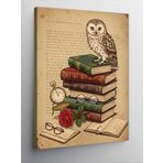 Kanvas Tablo Baykuş, Kitap ve Antik Saat, 50 x 70