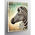 Kanvas Tablo Zebra ve Siyah Beyaz Doğa, 50 x 70