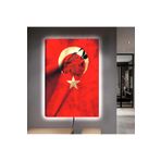 Kanvas Türk Bayraği Üzeri Siyah Kurt Ledli Tablo 50 X 70