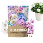 Kapalı Bitki Gübresi, Bitki Yiyecekleri | Besin Tozu - Bloom Booster, Stimülatör, Çiçekler için Bahçe Bakımı Sebze Succulents