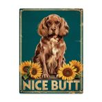 Kapalı Koleksiyon 12x16 İnç Metal Duvar Plaketi Kaniş Güzel Posteri Retro Oda Şekillendirici Detay Takım Elbise Yatak Odası veya Okuma Köşesi Retro Rafine İç Stil İç Duvar Vurgusu
