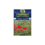 KAPALI TOHUMLULAR ANGIOSPERMAE - KOLEKTIF