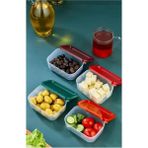 Kapamarka 4'lü Kapaklı Saklama Kabı Çerezlik Kahvaltılık Piknik Kabı -HS-017