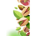 Kaplıca Fidancılık 9 Adet - Antep Fıstığı Fidanı 2 Yaş - 1 Adet