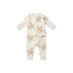 Kaplumbağa Desenli Önü Çıtçıtlı Bebek Pijama Takım, BEJ, 6-9 AY