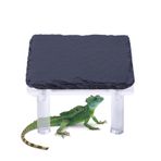 Kaplumbağa Güneşlenme Kayası - Akrilik Braketli Sürüngen Saklanma Mağarası | Gecko Kaplumbağa Kertenkele Yılan Bukalemun İçin Terraryum Habitat Dekoru