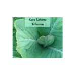 Kara Lahana Tohumu 1 Paket (10gr=2000+ Adet) Karadeniz Lahana Tohumu