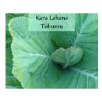 Kara Lahana Tohumu 1 Paket (10Gr=2000+ Adet) Karadeniz Lahana Tohumu