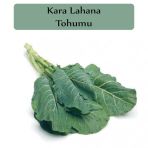 Kara Lahana Tohumu 1 Paket Karadeniz Lahana Tohumu Karalahana Tohumu Yüksek Verim Kapalı Paket Tohum