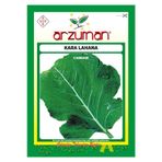 Kara (yaprak) Lahana Tohumu 10 Gram