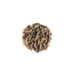 Karabaş Otu 100 Gr
