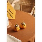 Karaca Halloween Tuzluk Biberlik
