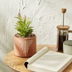Karaca Home 23 cm Simple Saksı Yapay Bitki