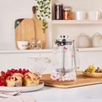 KARACA Pia Matsu Bitki Çayı Ve Filtre Kahve Demliği French Press 430 Ml Şeffaf