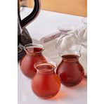 Karaca Refikadan Tatlıcan 6'lı Çay Bardağı Set