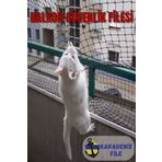 KARADENİZ DEKOR AĞLARI Balkon Filesi (Kalın - Siyah) 2.5 x 3 (Kuş Filesi, Kedi Filesi, Kuş Ağı, Kuş Önleme Filesi)