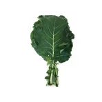 Karadeniz Lahana Tohumu - 5 Gram