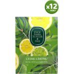 Karahanbey Eyüp Sabri Tuncer Çeşme Limonu Kolonyalı Mendil 50'li x 12 Adet