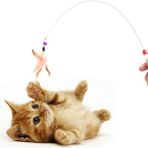 Karahanbey Kedi Oyun Oltası, Renkli Kedi Oyuncağı, Elastik Tüylü Pelüş Kedi Oyuncak, Kedi Oltası Tüylü, Olta E