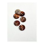 karan tuhafiye Düğme/Renkli Düğme / 6 lı set/kahve