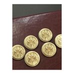karan tuhafiye Trençkot Ve Kaban Düğmesi Gold Metal 6 Lı Set/Çift Aslan Modeli