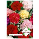 Karanfil (dianthus Caryophyllus) Çiçek Tohumu 100 Adet