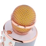 Karaoke Mikrofon WS-858