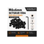 Karapolat M6X6MM Setskur Vida 10 Adet Kapı Kolu Vidası Alyan Hediyeli