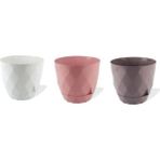 Karasu Yakamoz Saksı No:5 9,20L - Pembe