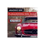 Karbonsoft Kişiye Özel Isimli Pleksi Takmatik Araç Logo Plakalık (2 Adet)