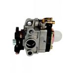 Karbüratör Motorlu Tıpan Oleomac Sp25-250tr