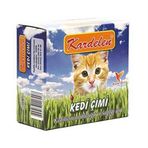 Kardelen Kedi Çimi