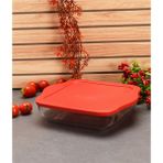 Kare Kare Borcam 25X22CM Kırmızı Kapaklı Tepsi - Seçenek 1 - Açık Gri