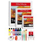 Kare Tuval 3 Adet 10X10 20X20 30X30 Cm Boş Tuval Tablo 6 Lı Akrilik Boya Fırça Palet Resim Tuvali Akrilik Yağlı Boya