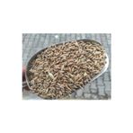 Kargı Yöresel Ürün Pazarı Yemlik Buğday-25 Kg (Tavuk,Güvercin Vb Kanatlı Yemi)