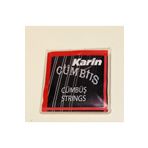 Karin Cümbüş Takım Tel